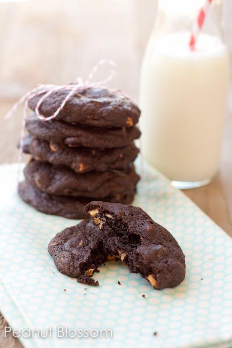 Chocolate Peanut Butter Chip Cookies | Peanut Blossom