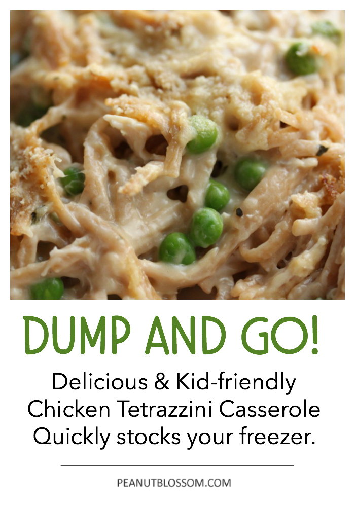 Dump and Go Chicken Tetrazzini Casserole to quickly stock your freezer