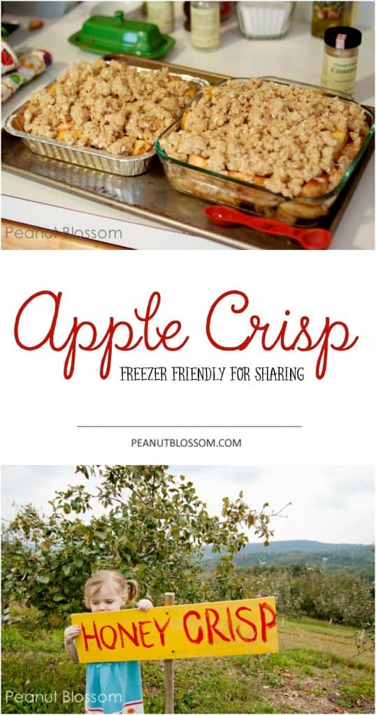 This easy apple crisp recipe is freezer friendly and perfect for fall baking.