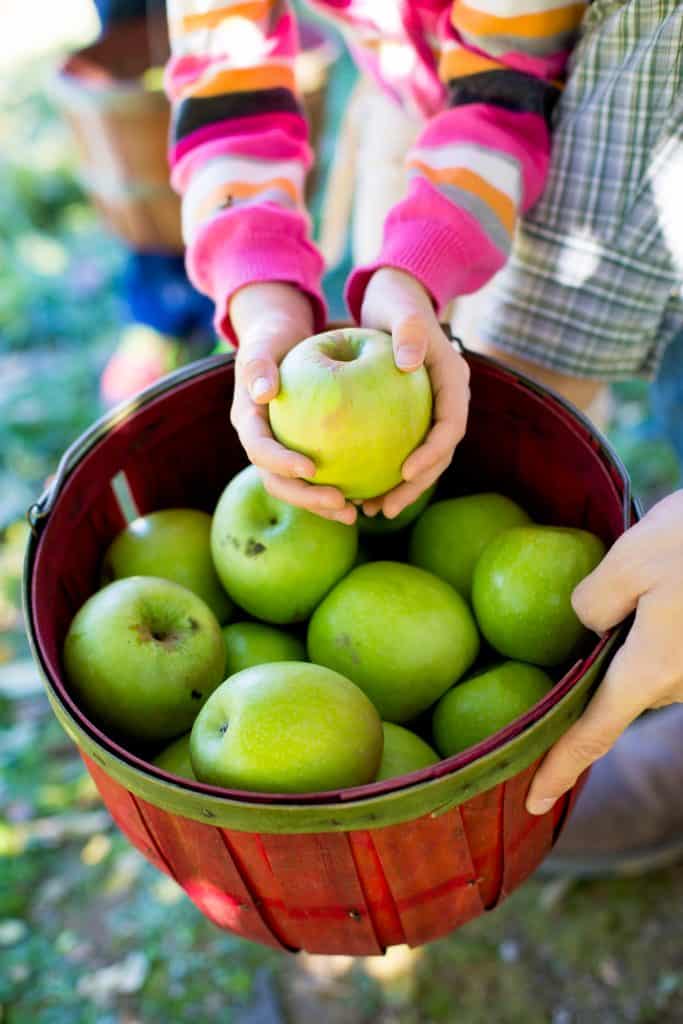 Good apples for baking apple crisp include Granny Smith, Mcintosh, and Honeycrisp