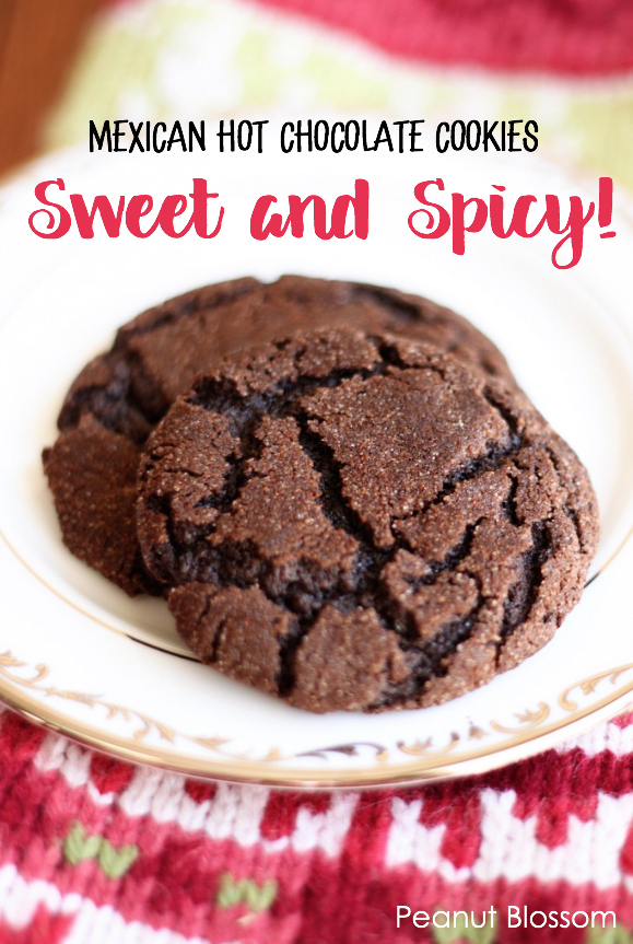 Sweet and spicy Mexican Hot Chocolate Cookies are a fun surprise for your Christmas cookie tray