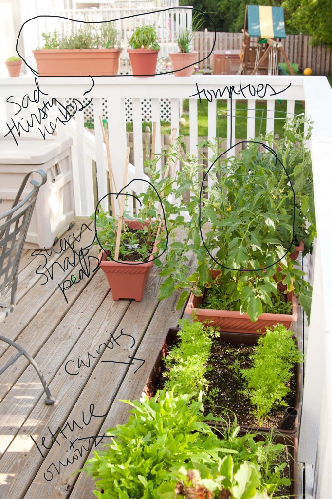 The layout of a patio container garden with vegetables.