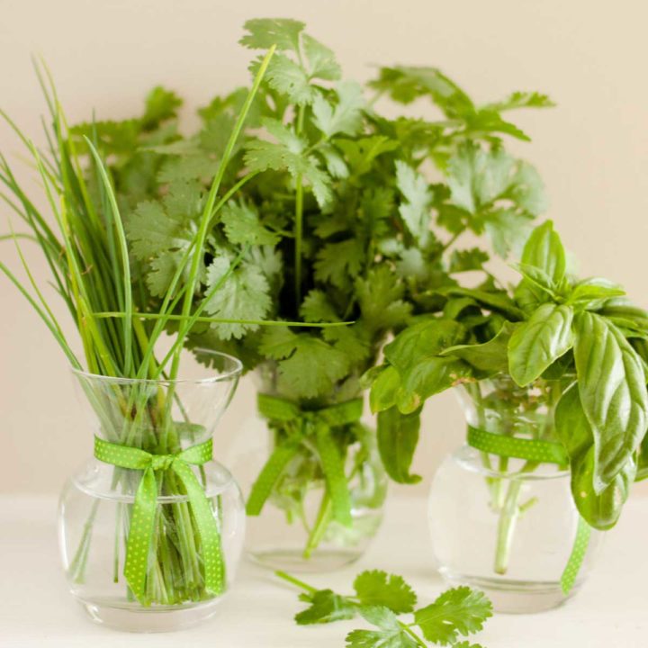 Cut fresh herbs in little water vases.