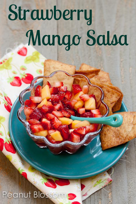 Strawberry mango salsa with cinnamon pita chips is an easy appetizer for kids to make.