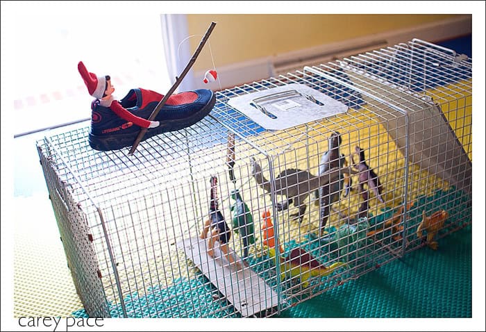 Elf on the Shelf has trapped toy dinosaurs in a real animal cage and is fishing for them with a pole.