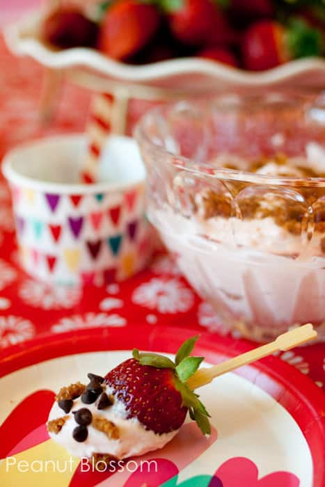 A fresh strawberry has been dipped in strawberry cream cheese dip and sprinkled with mini chocolate chips.