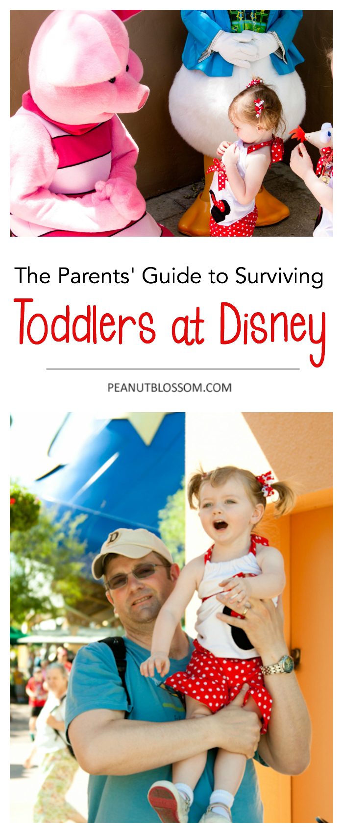 Parents' Guide to Surviving a Toddler at Disney