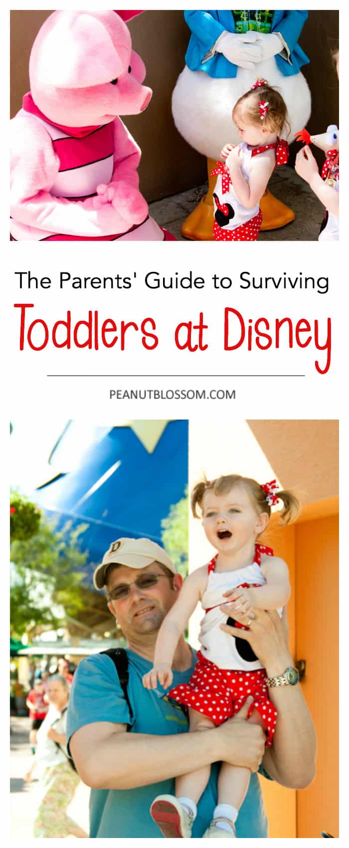 Parents' Guide to Surviving a Toddler at Disney