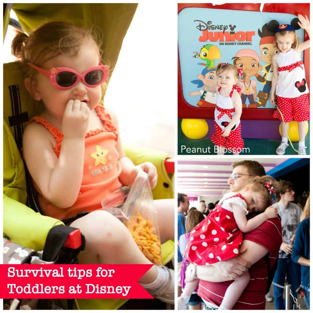 Parents' Guide to Surviving a Toddler at Disney