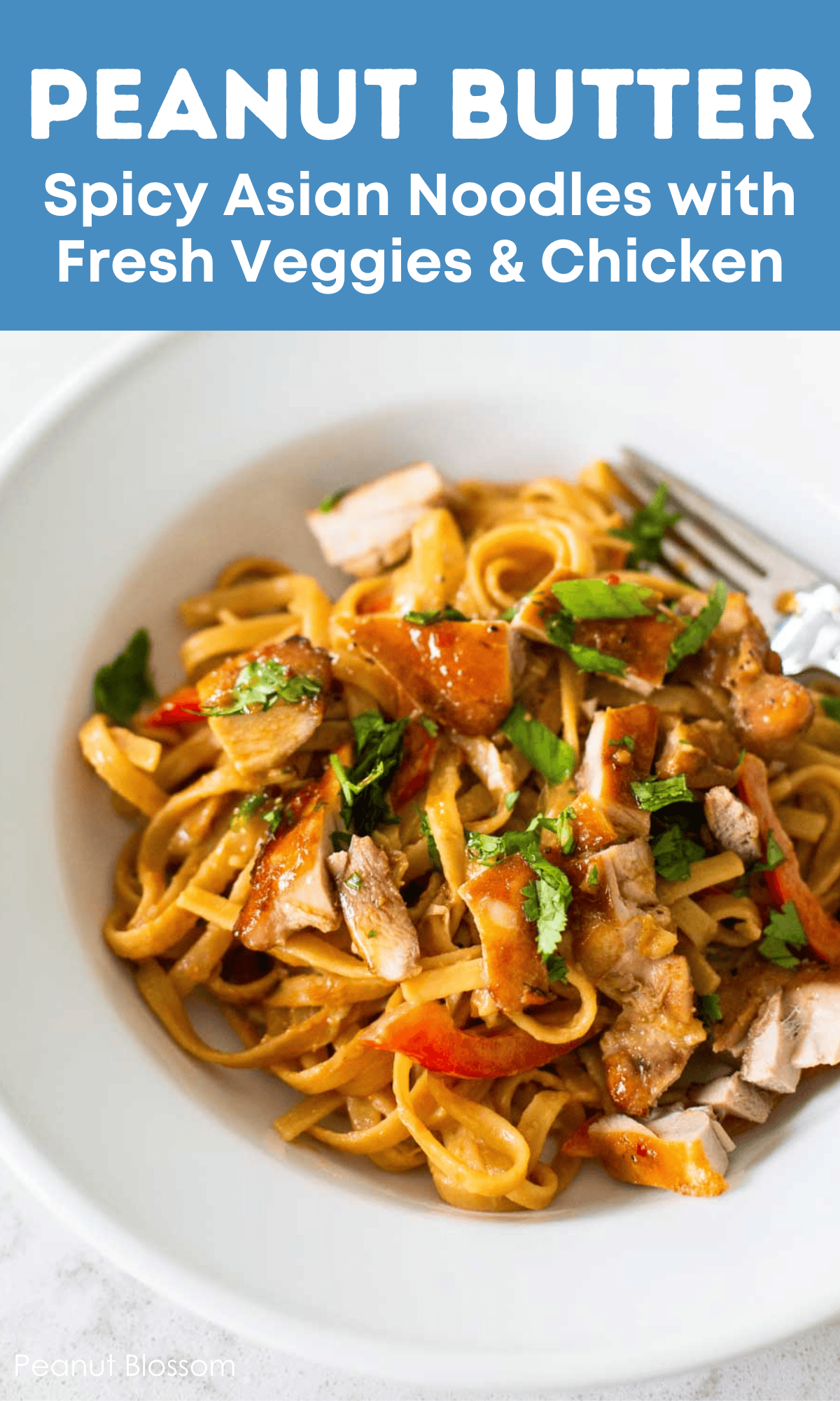 A bowl of finished peanut butter pasta shows the noodles in sauce and fresh veggies mixed in.