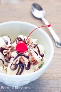 Tortoise Sundae The Ultimate Turtle Sundae