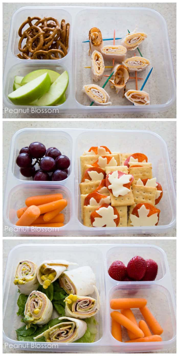 68 Healthy Preschool & Kindergarten School Lunch Ideas