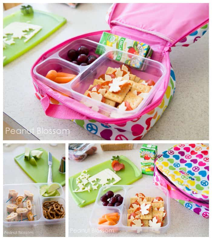 30 School Lunch Ideas for Kids - Peanut Blossom