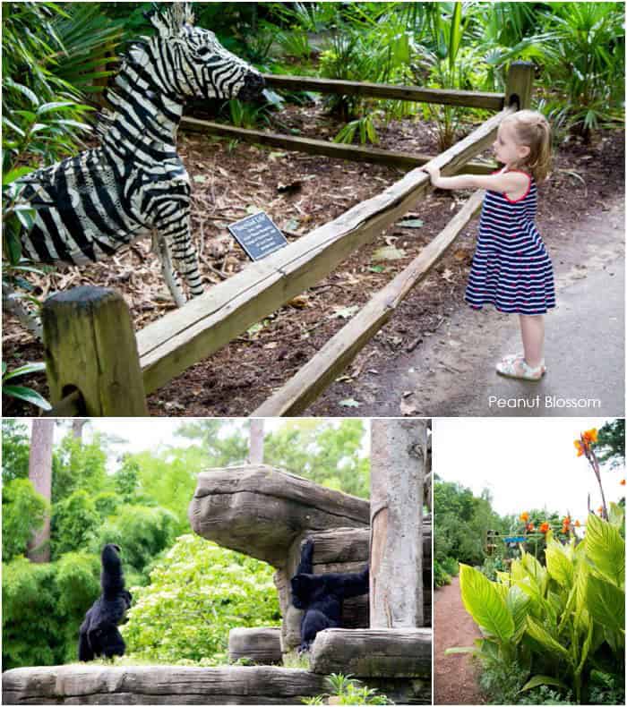 Riverbanks Zoo: A Review - Don't Just Fly