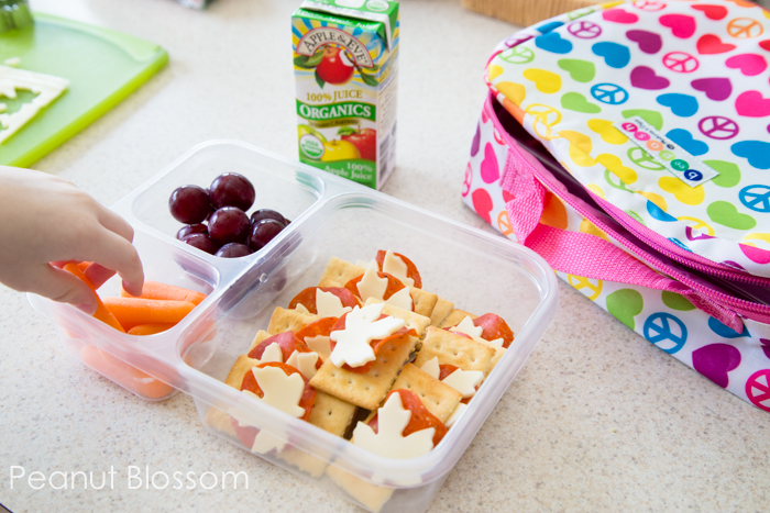 Healthy Preschool and Kindergarten Lunch Ideas
