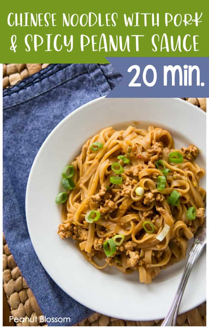 Chinese noodles with pork and spicy peanut sauce is ready in just 20 minutes! This easy weeknight dinner is a huge family favorite.