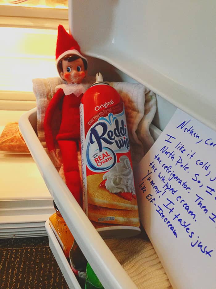 elf on the shelf ideas