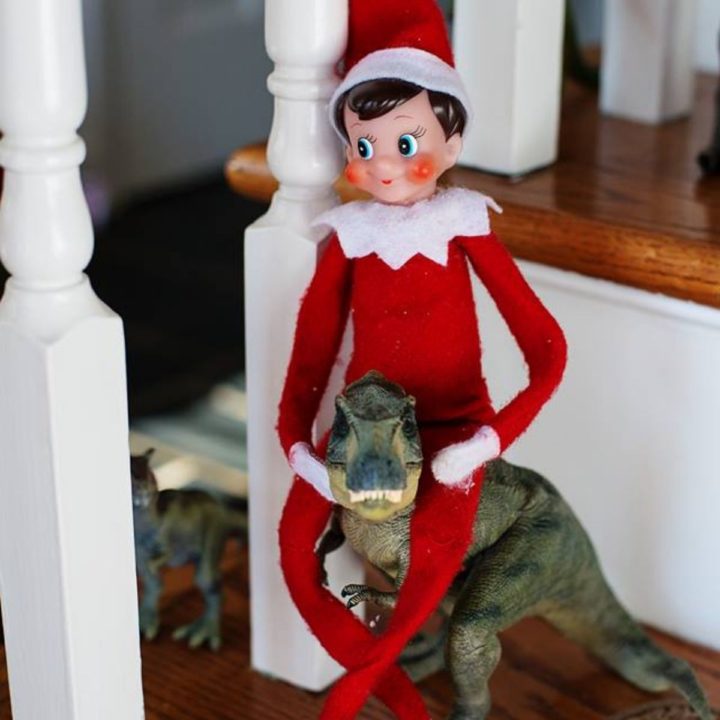 An Elf on the Shelf is riding a toy dinosaur.