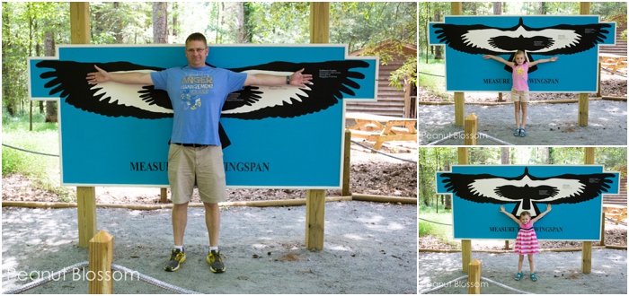 A day at the Carolina Raptor Center in Charlotte, NC