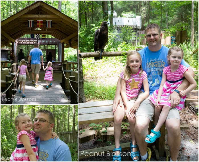 A day at the Carolina Raptor Center in Charlotte, NC