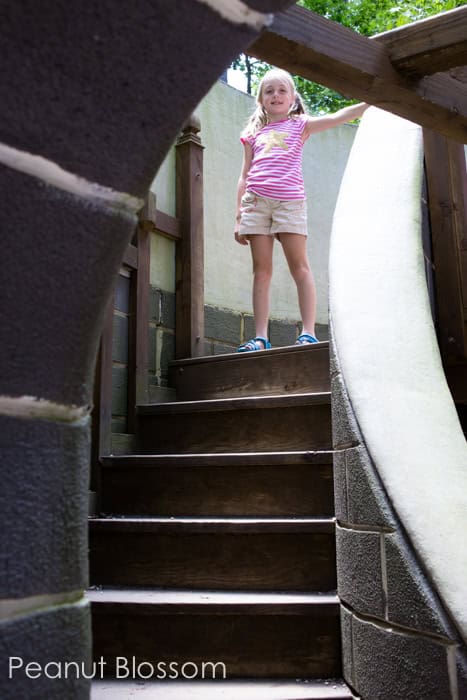 A day at the Carolina Raptor Center