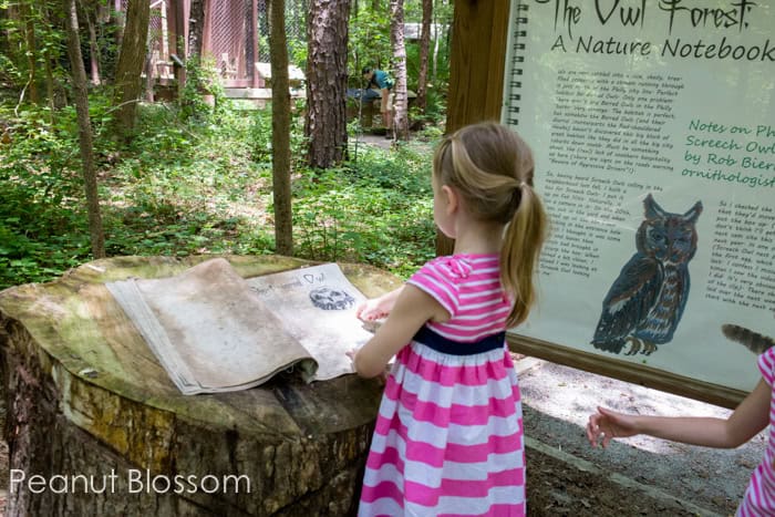 A day at the Carolina Raptor Center in Charlotte, NC