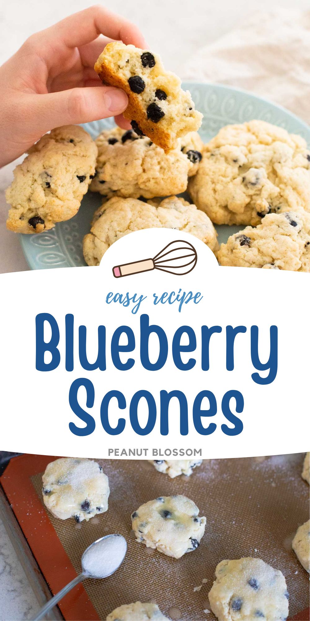 The photo collage shows a blueberry scone broken open to show the inside next to the scones on a baking pan being sprinkled with sugar.