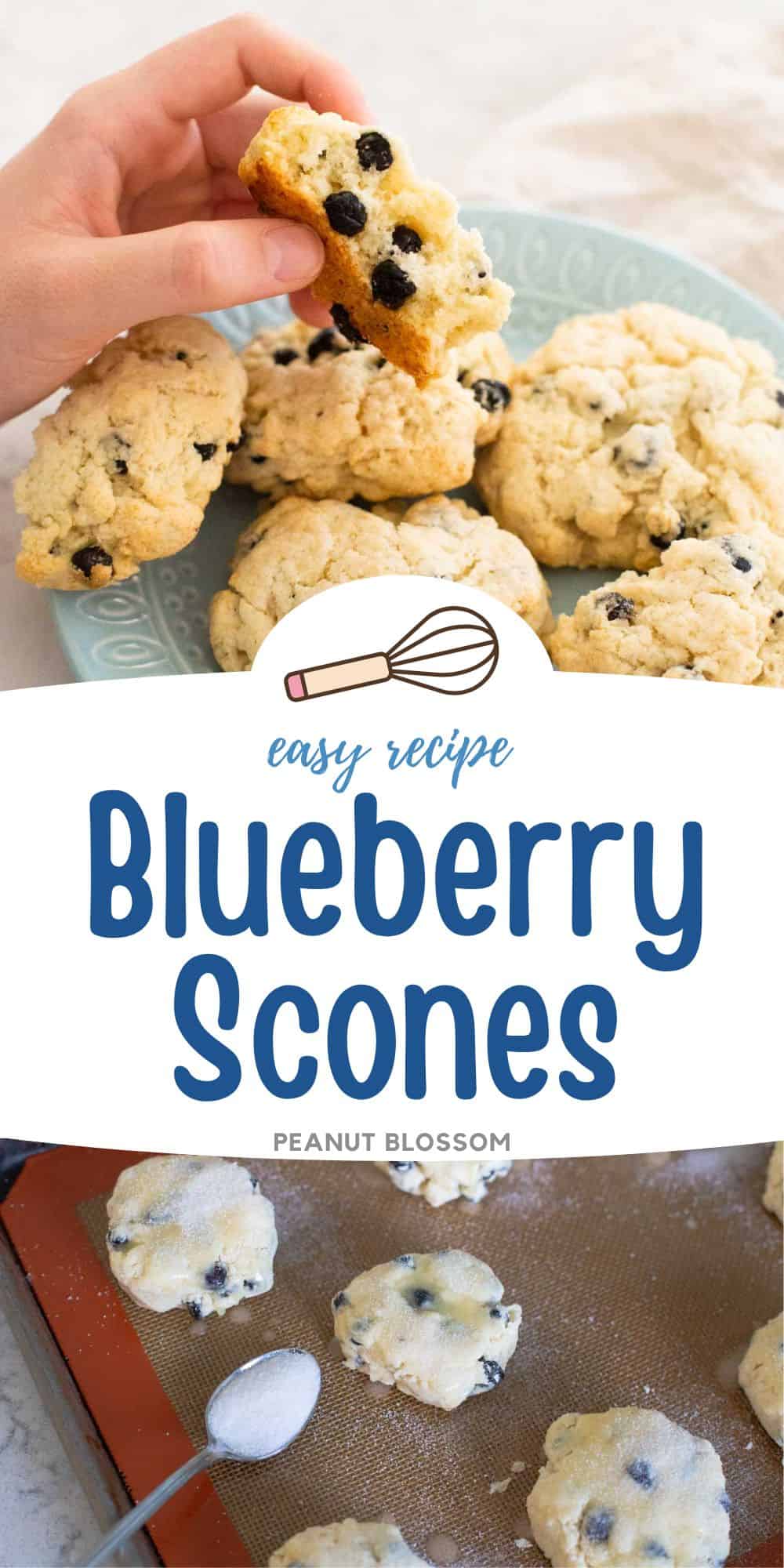 The photo collage shows a blueberry scone broken open to show the inside next to the scones on a baking pan being sprinkled with sugar.