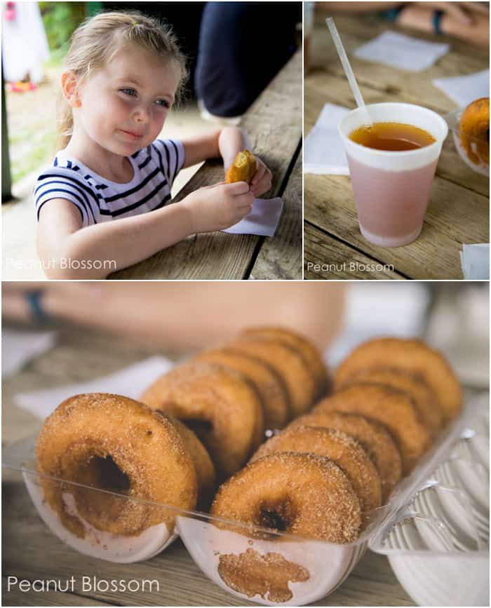 Apple picking at Sky Top Orchard, an easy Charlotte day trip