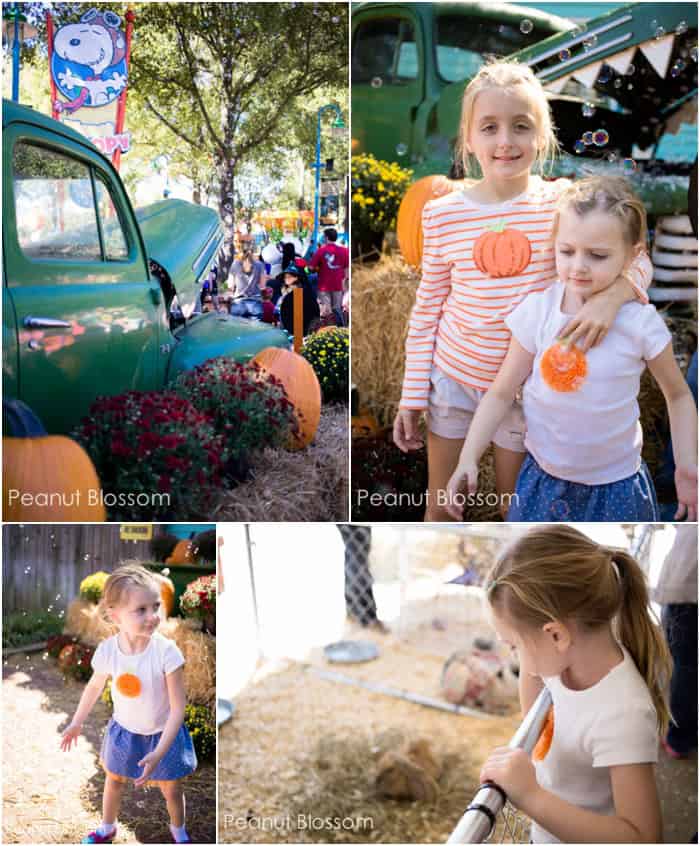 Carowinds Great Pumpkin: The perfect way to spend a fall day in Charlotte, NC