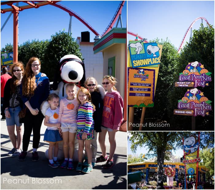 Carowinds Great Pumpkin: The perfect way to spend a fall day in Charlotte, NC