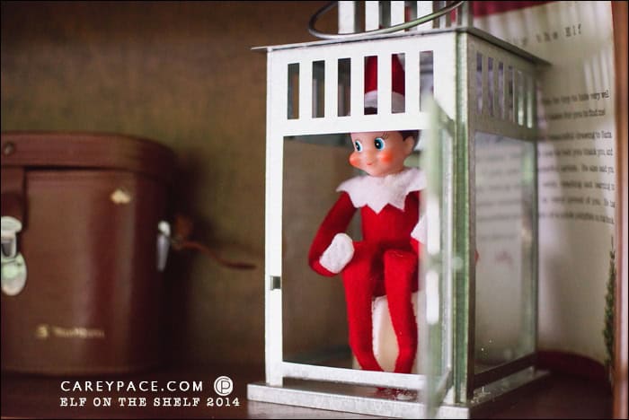 Elf on the Shelf hides in Lantern by Carey Pace