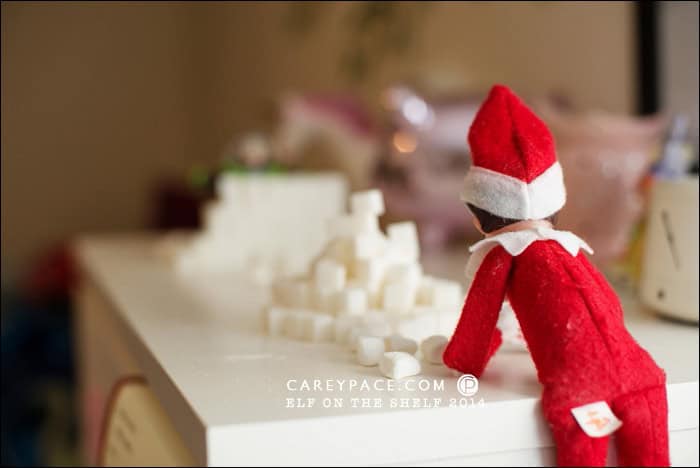 Sugar Cube Snowball fight with Buzz by Carey Pace 