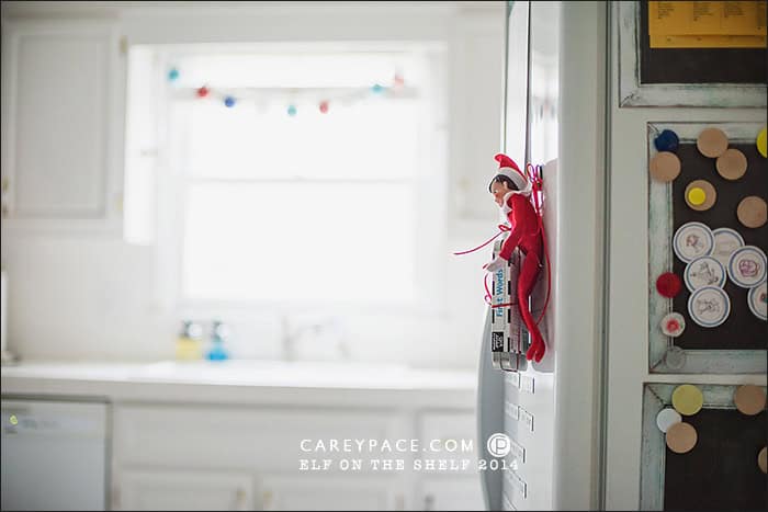 Elf on the Shelf Fridge by Carey Pace