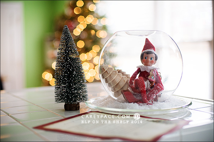 Elf on the Shelf Snow Globe by Carey Pace