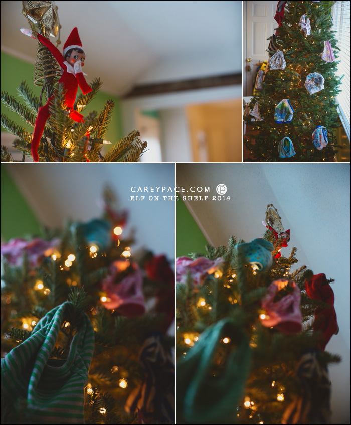 Elf on the Shelf pranks the kids with underwear on the tree by Carey Pace