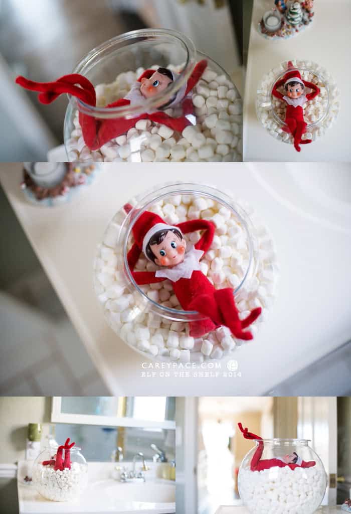 Fish Bowl Marshmallow Bath for Elf on the Shelf by Carey Pace