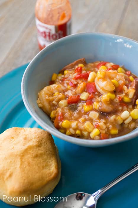 Southern style shrimp stew