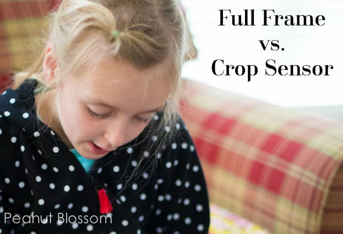 Full frame vs. crop sensor review