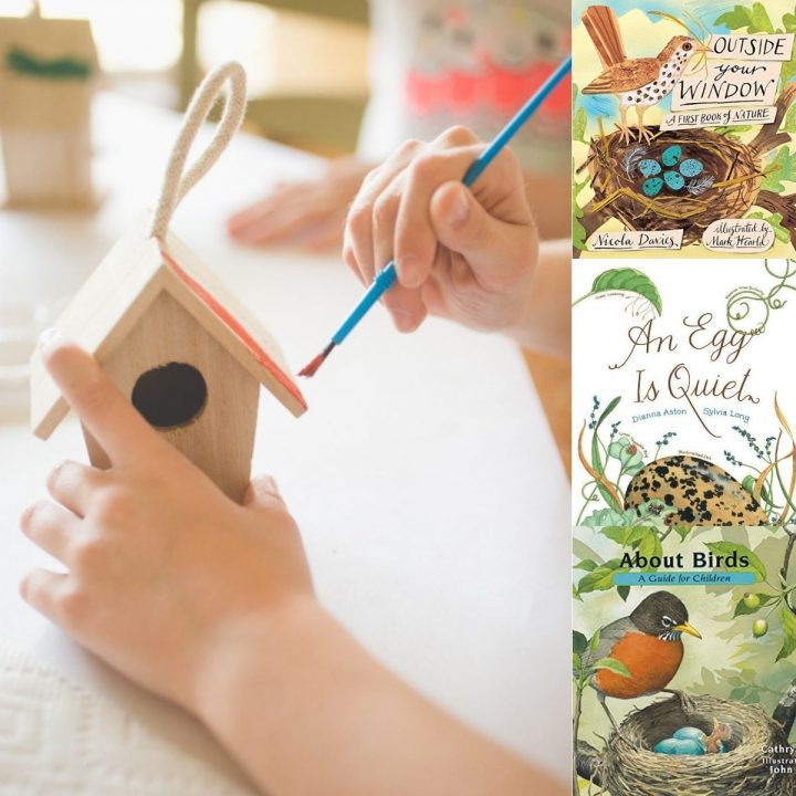 A pair of hands paints a wooden birdhouse and a few picture books about birds in a collage.