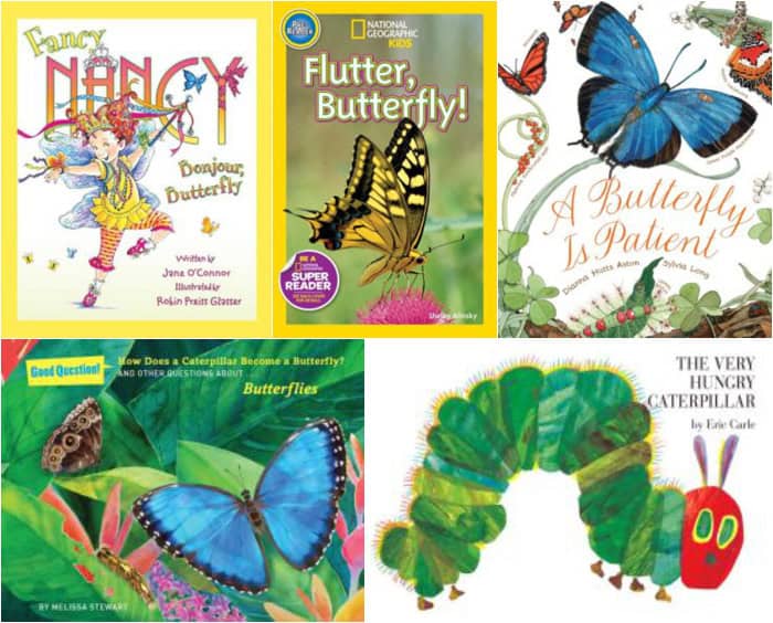 Planting a butterfly garden for kids