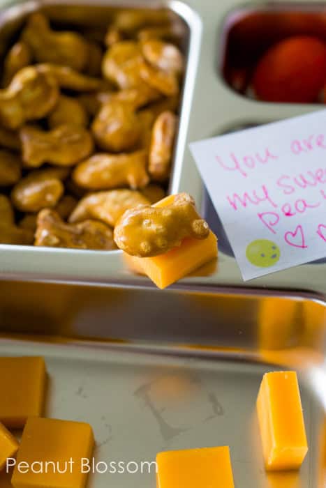 A close-up of the finger foods inside a Kindergarten school lunch.