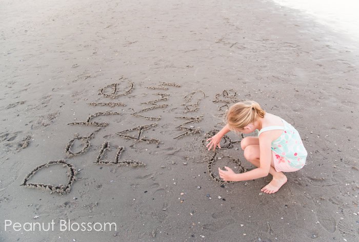 Capturing the details: easy beach photography ideas