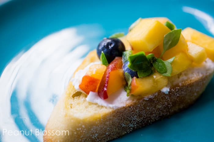 A close-up photo of the assembled appetizer shows the ingredients included in the peach and blueberry salsa.