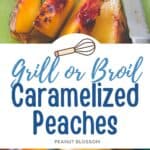 The peaches have been sliced on a cutting board, they are also shown on a plate next to sliced pork.