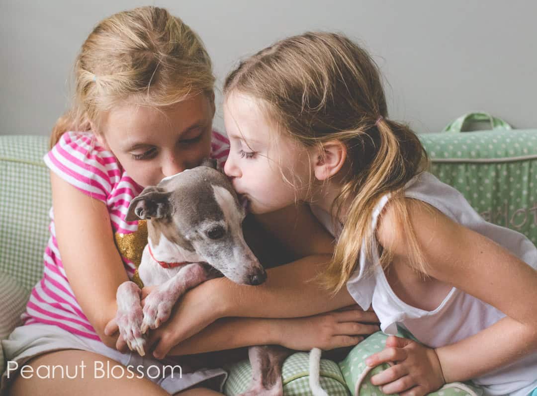 Telling your kids it's time to put your dog to sleep