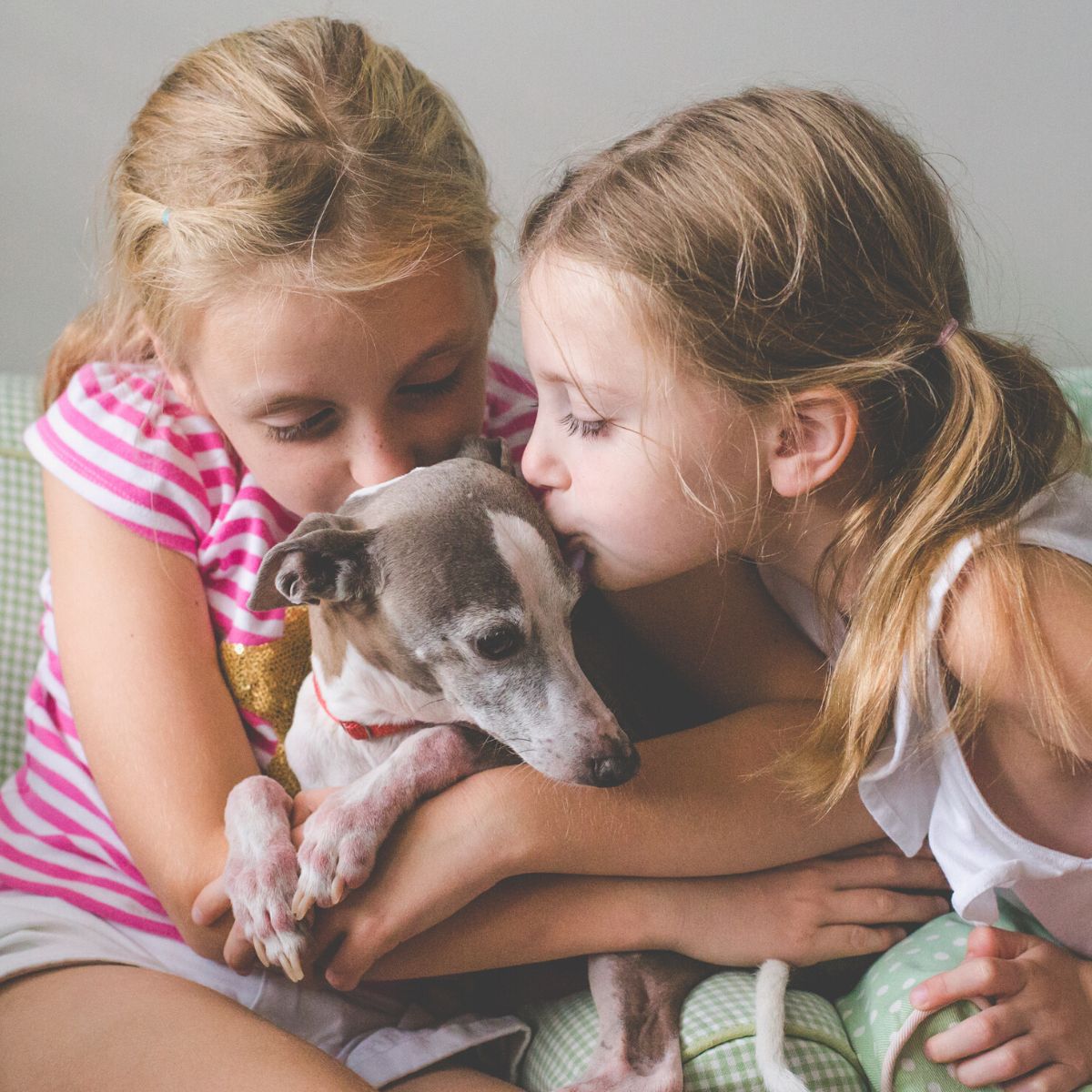 Two young girls give a gentle kiss to their beloved dog.