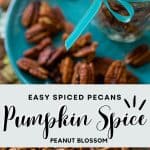 The photo collage shows the pumpkin spice pecans served in a little mason jar with a light blue ribbon tied in a bow next to a photo of the pecans being stirred on a baking sheet.