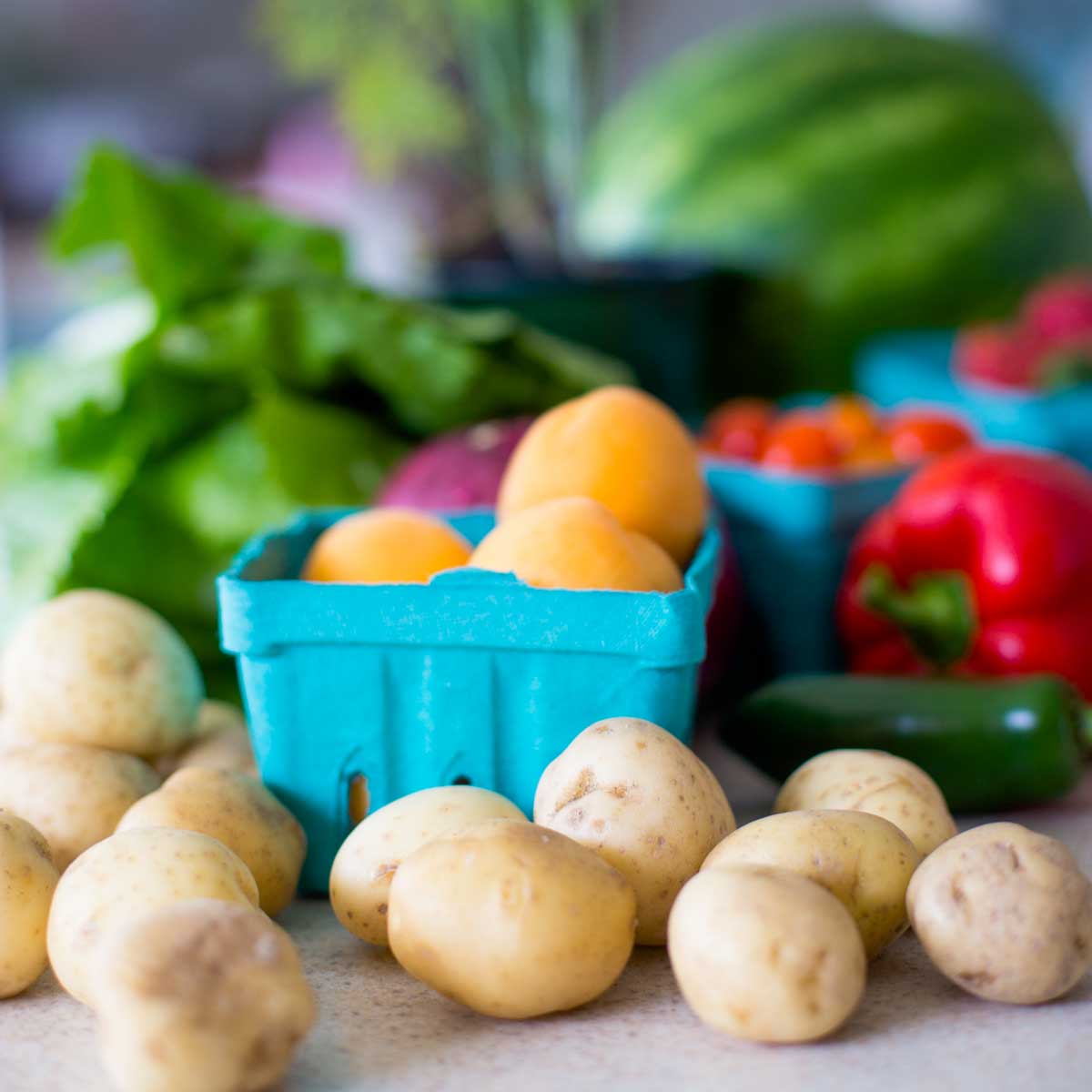 A mix of fresh vegetables from the market are on a kitchen counter: potatoes, tomatoes, peppers, spinach, jalapeno, and a watermelon in the back.