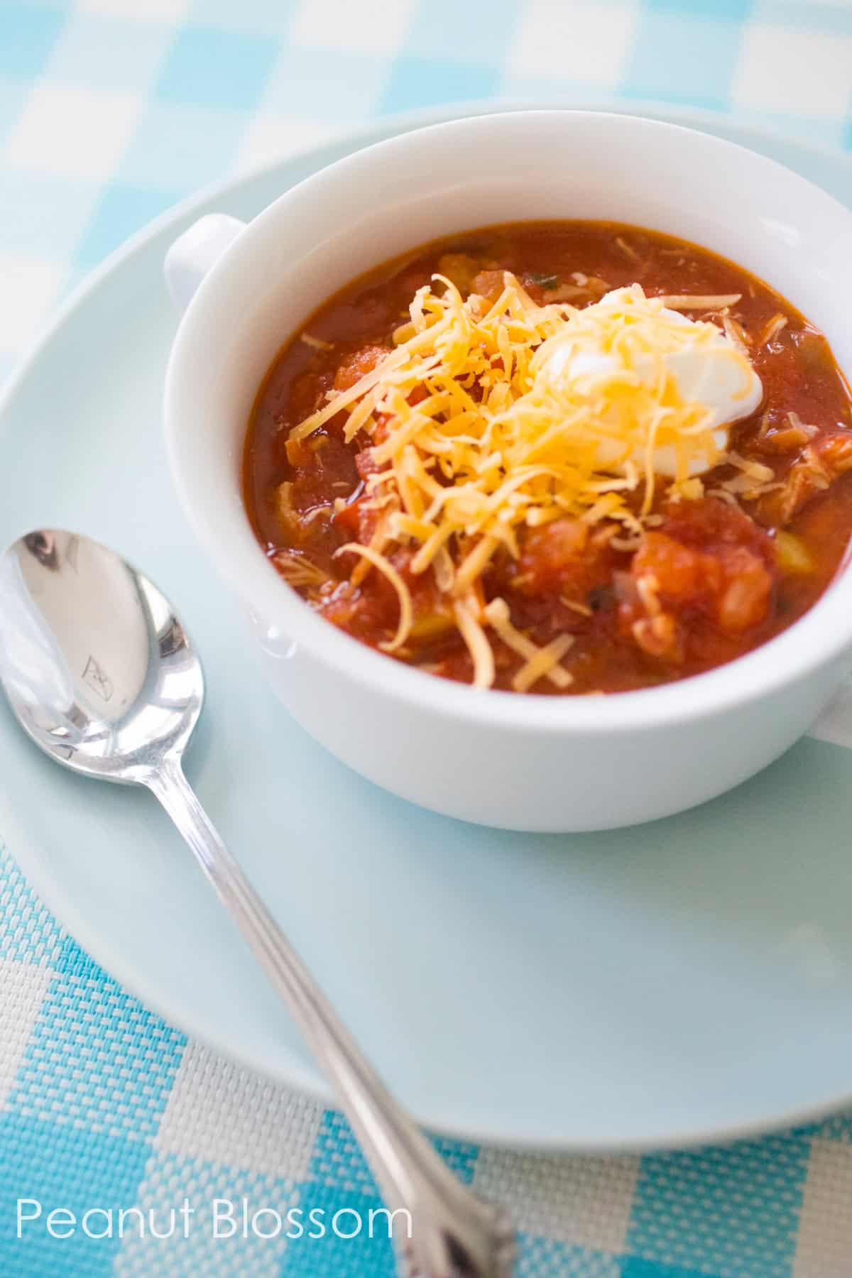 Homemade chicken chili: tons of veggies but NO beans! Only 3 WW points per serving.